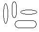 bacilli
