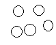 cocci