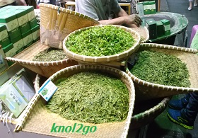 knol knol2go