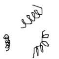 spirilla